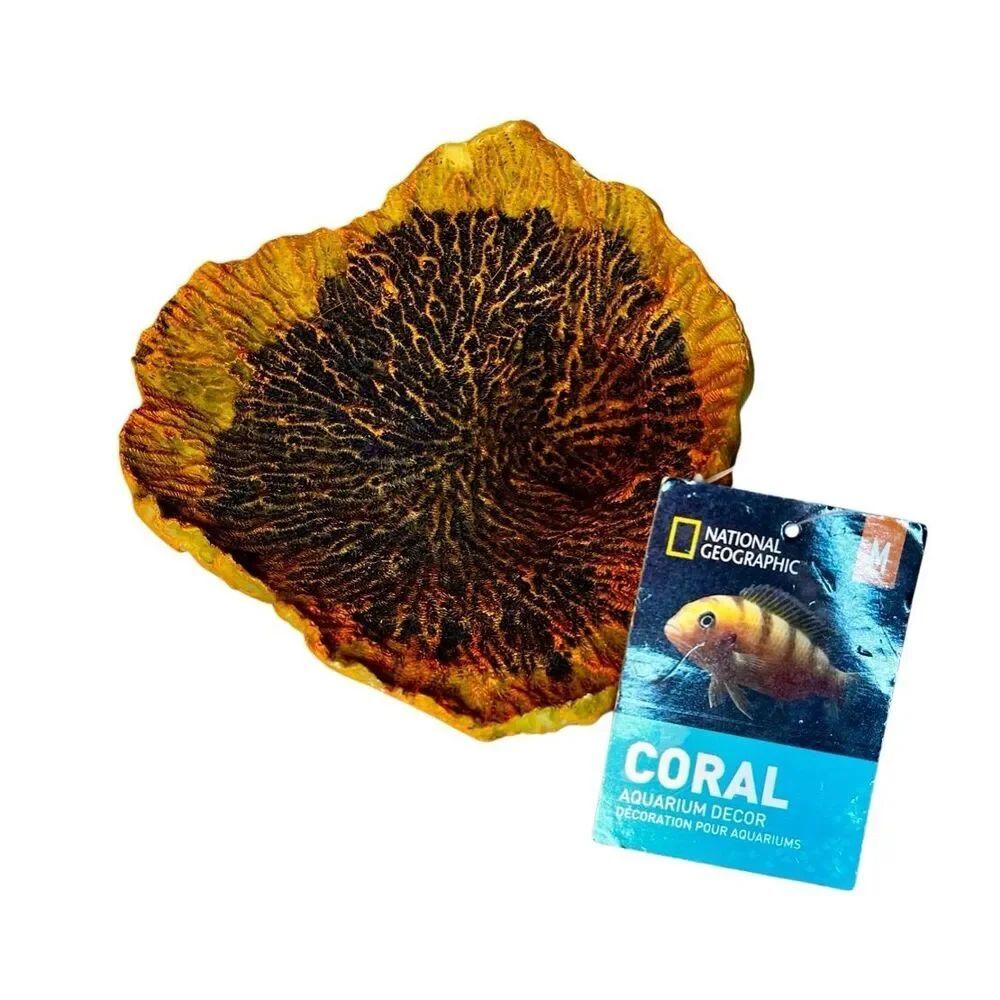 National Geographic Brand Artificial Plate Coral Fish Aquarium Decor New W/Tags